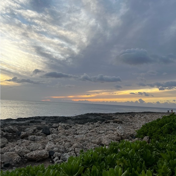 Meet your Posher, Allison - Picture 1 of 1